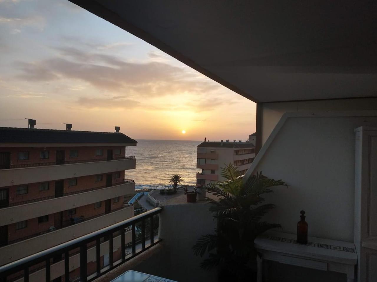 Cabo Cervera 50 M Del Mar Torrevieja Eksteriør billede